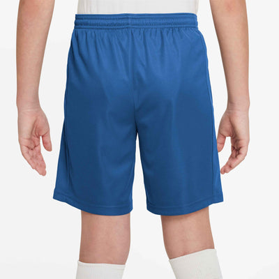 FN8706-480 - Shorts - Nike