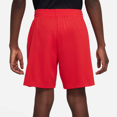 DX5361-657 - Shorts - Nike