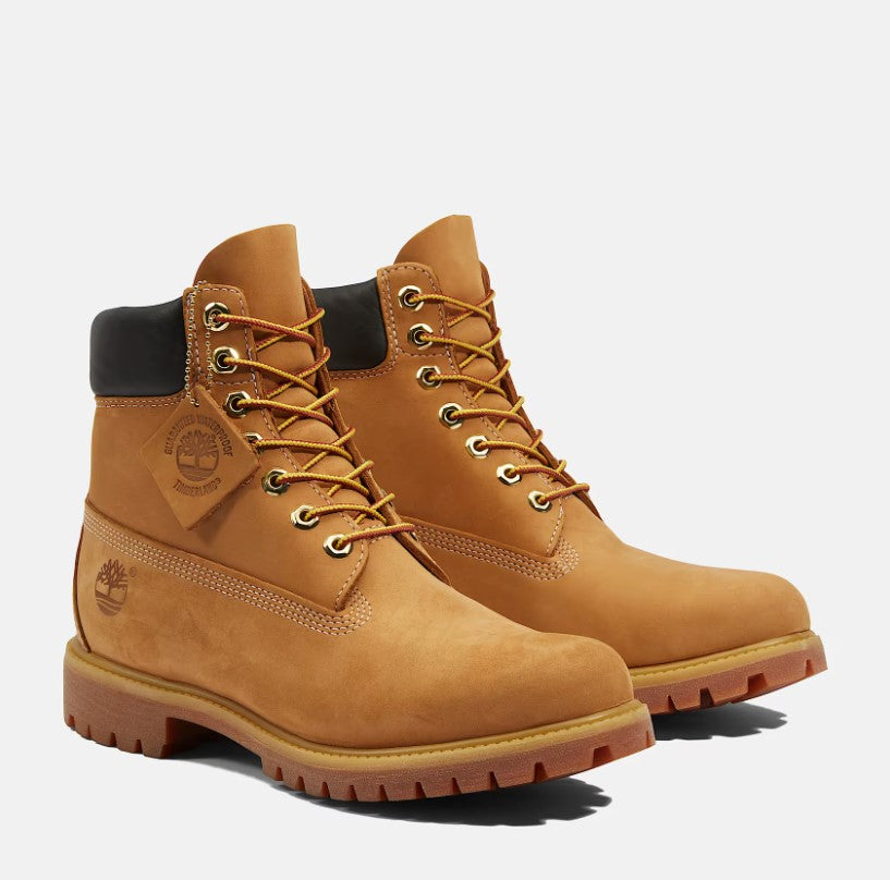 TB110061713 - Stivaletti - Timberland