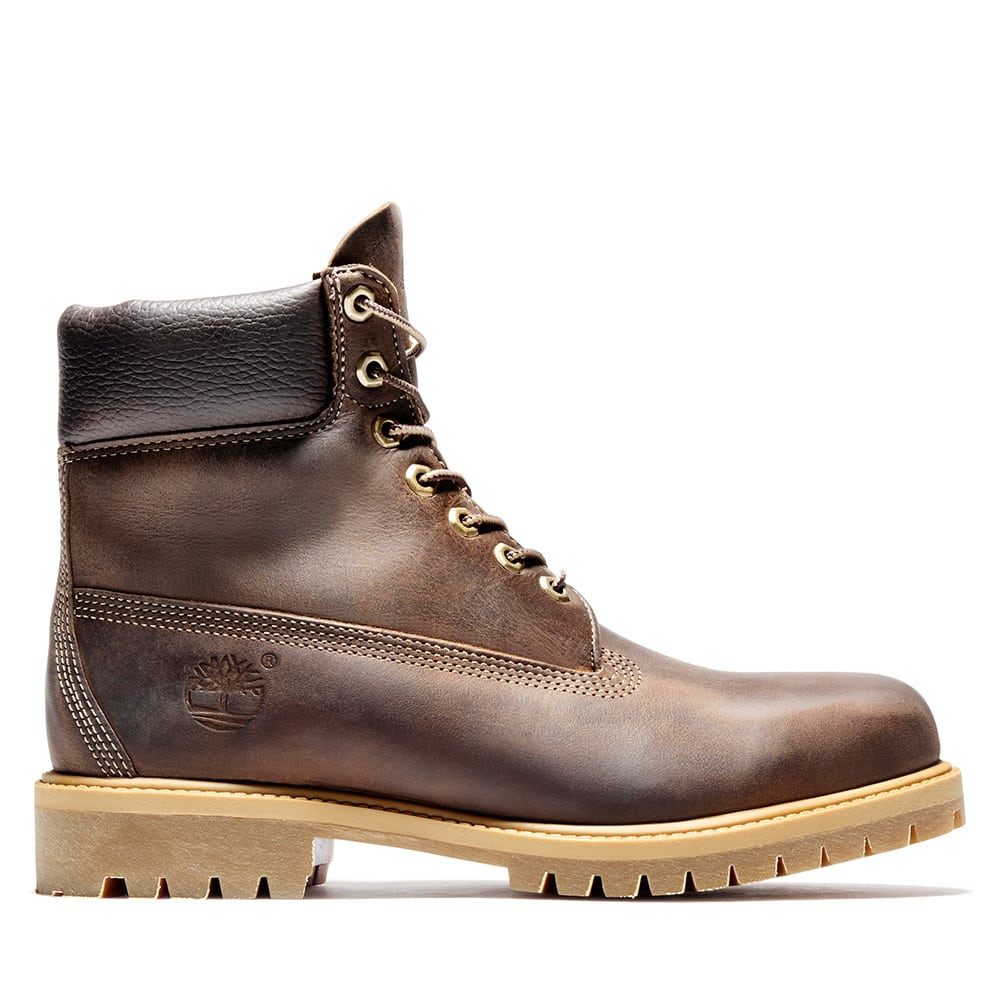 TB127097214 - Stivaletti - Timberland