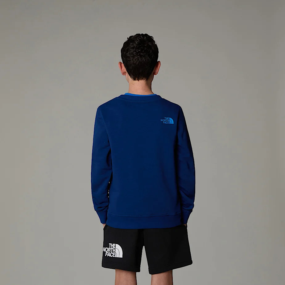 NF0A8AXXD1R - Felpe - The North Face