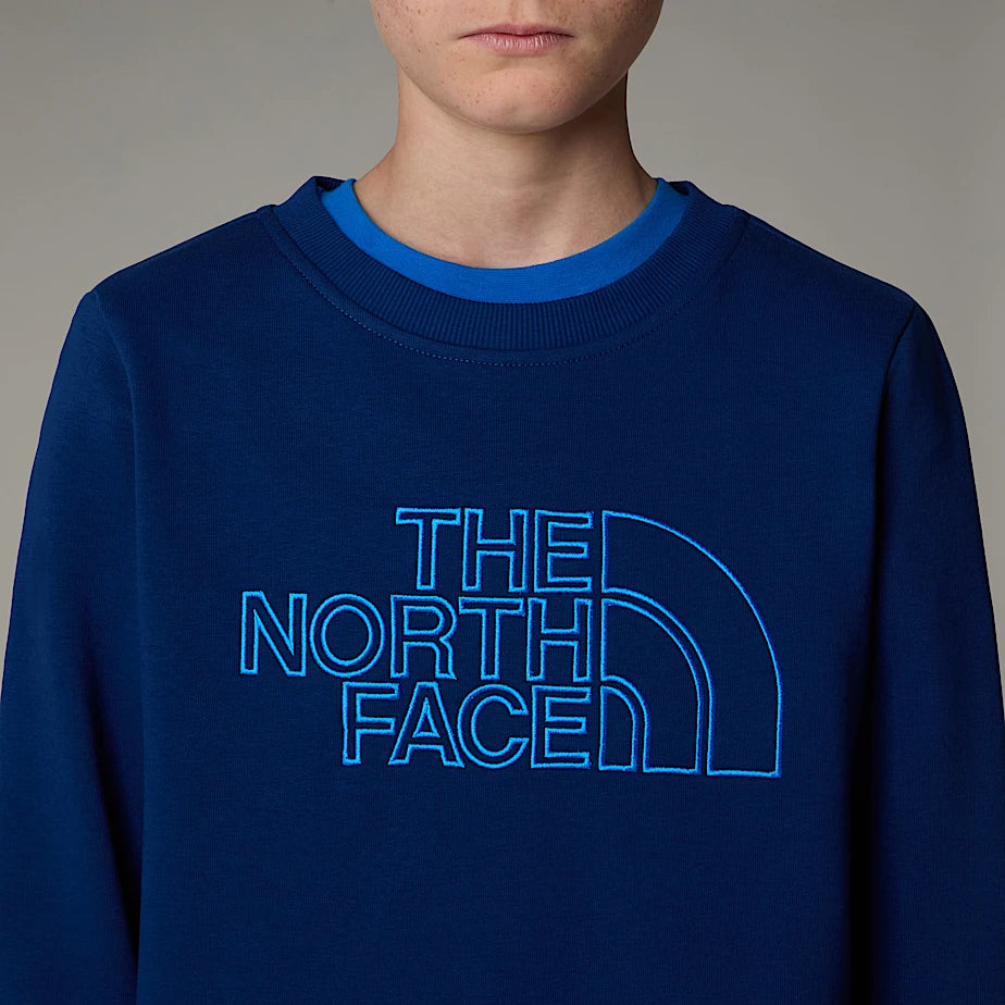 NF0A8AXXD1R - Felpe - The North Face