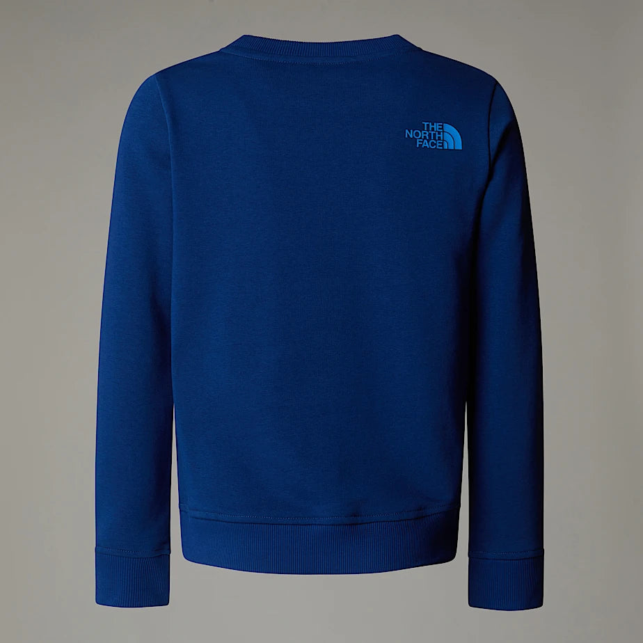 NF0A8AXXD1R - Felpe - The North Face