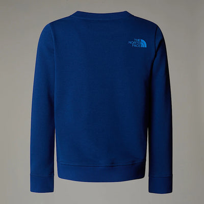 NF0A8AXXD1R - Felpe - The North Face