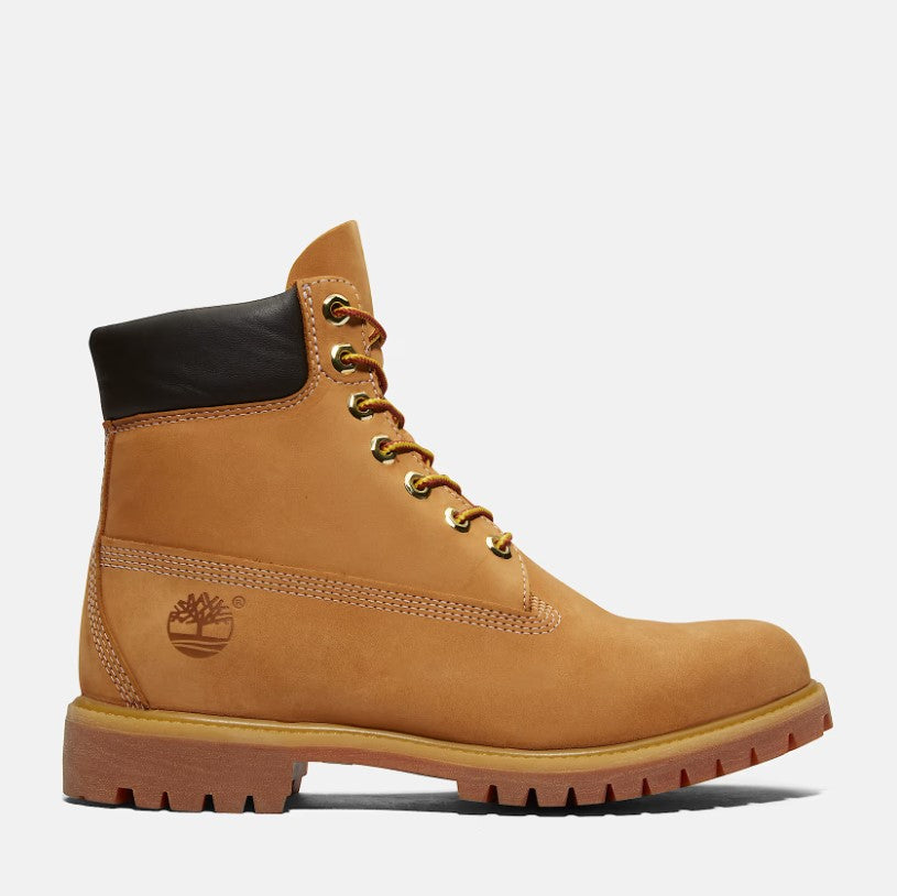 TB110061713 - Stivaletti - Timberland