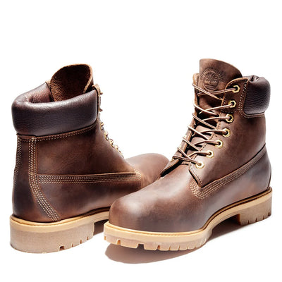 TB127097214 - Stivaletti - Timberland